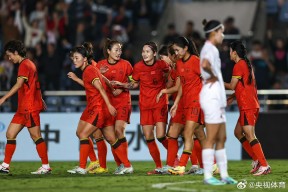 开云电竞官网-美洲杯决赛回放完整版